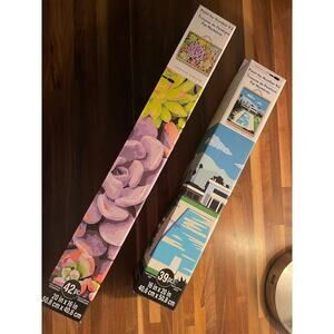 NEW Set of (2) Artist's Loft Paint by Numbers - Modern House/Pool & Succulents